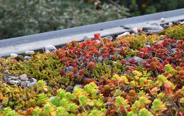 the cost of Lumby green roof installation