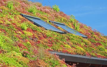 Lumby living roof systems