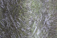 Lumby fibreglass roof work